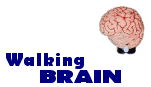Animated Walking Brain