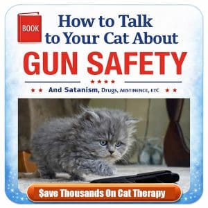 How To Talk To Your Cat About Fun Safety